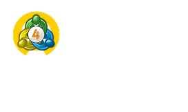 mt4